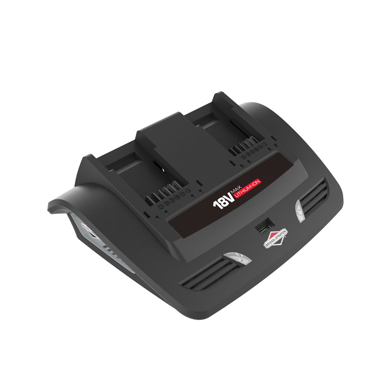 Briggs & Stratton 18V Twin Battery Charger